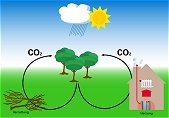 CO2-neutral